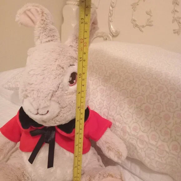 Peter Rabbit Plushie - Picture 3 of 10